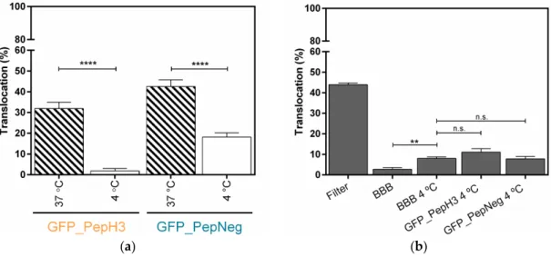 Figure 2. Metabolic inhibition studies of GFP_PepH3 and GFP_PepNeg cellular-translocation  pathways and the model-integrity study