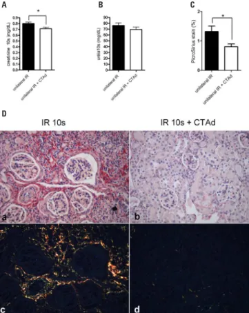 Figure 6. Expression of cytokines in renal tissue of animals 10 weeks after  reperfusion.