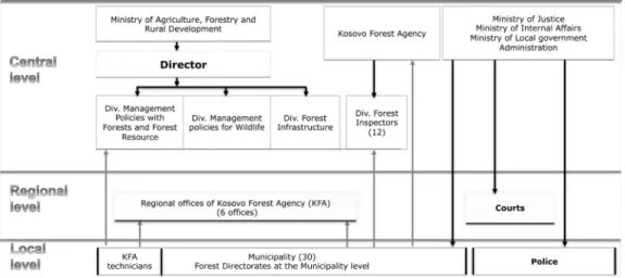 Fig. 1 e Institutional settings of law enforcement in Kosovo forest sector.