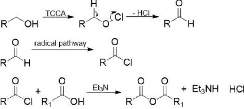 Figure 1.7: Synthesis of carboxylic anhydrides from aromatic and aliphatic aldehydes,  using TCCA as an oxidizing agent