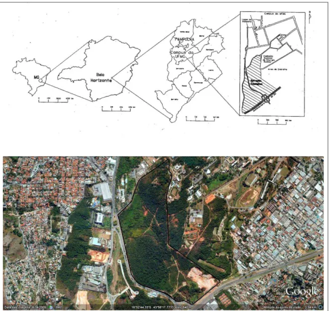 Figura 1. Localização da Estação Ecológica da Universidade Federal de Minas Gerais, Belo Horizonte, MG 
