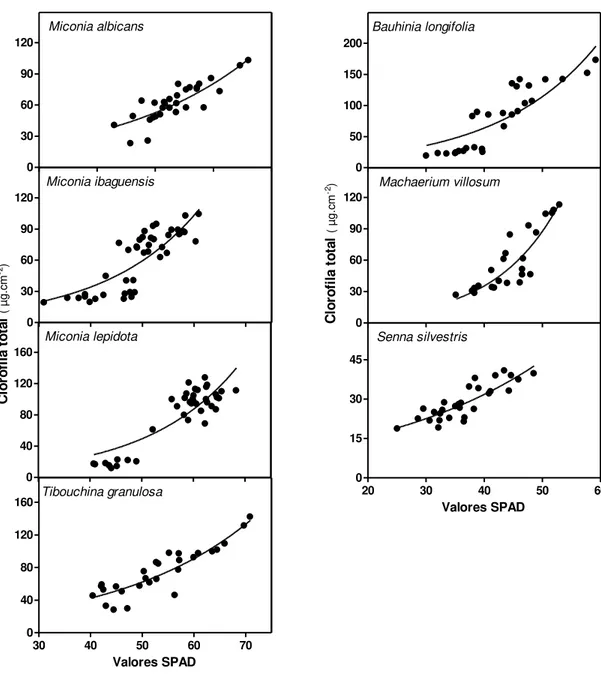 Figura  6.  Correlações  entre  os  valores  SPAD  e  conteúdo  de  clorofila  total  (clorofila  a  +  clorofila  b)  nas 