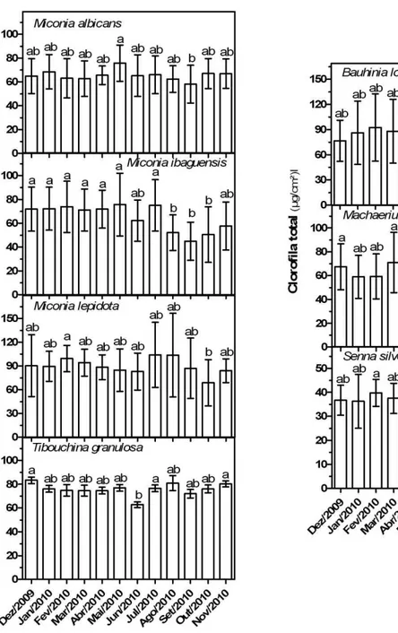 Figura 8. Conteúdo mensal de clorofila total (clorofila a + clorofila b) no limbo foliar das espécies estudadas