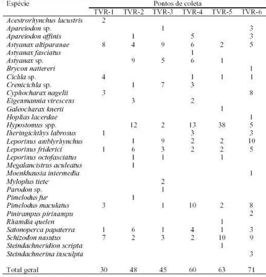 Tabela 5.4: Número de indivíduos de cada espécies coletados antes da redução da vazão 