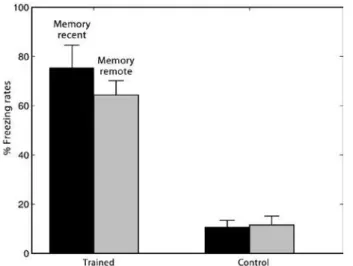 Figure 2. Two-second segments of hippocampal electrical activity in behavioral  states: (A) active exploration, (B) freezing 1 day after training and; (C) freezing  18 days after training