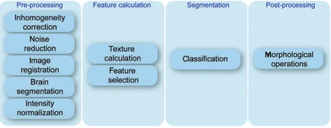 Figure 1. Segmentation pipeline