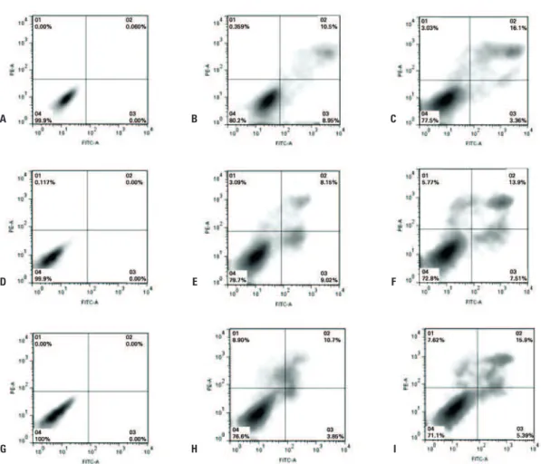 Figure 5. Cellular viability assay by the annexin-propidium iodide method. (A, D, G) Represent the MSCs not labeled with the SPION-DX-PLL (negative control) and not  labeled for annexin-propidium iodide (in-house negative control of the viability assay) re