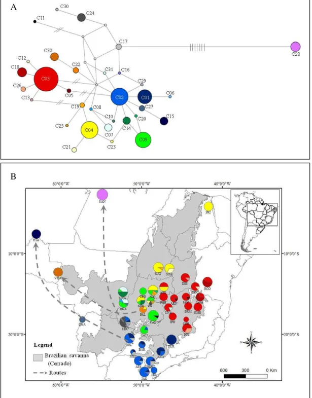 Figure  1.  Median-joining  network  showing  the  relationships  between  haplotypes  of  Qualea  grandiflora  based on concatenated cpDNA sequences (A) and geographic distribution of the 