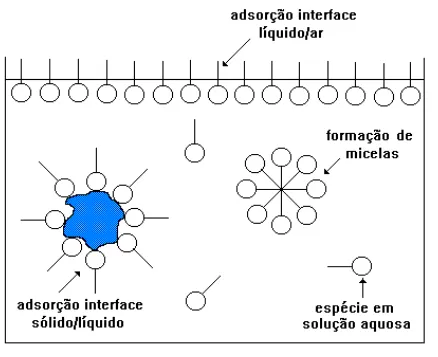Figura 3.21 - Diferentes Formas de Adsorção e Interação dos Surfatantes em Meio  Aquoso na Presença de Partículas Sólidas (Valadão, 1996) 