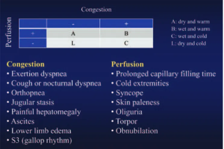 Figure 2. Diagnostic assessment of decompensated heart failure 