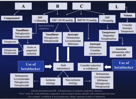 Figure 3. Treatment algorithm of decompensated heart failure
