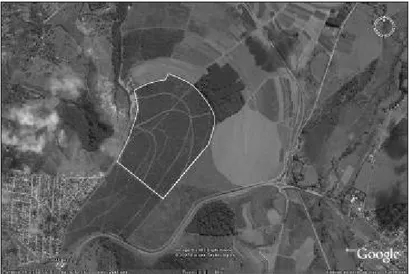 FIGURA 1 - Imagem de satélite da área em estudo (limitada com traço 