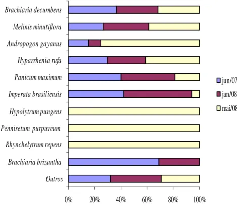 GRÁFICO 7 -   Índice de valor de importância (IVI) das espécies de plantas    