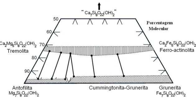 Figura 3.3: Diagrama de composição química das séries dos anfibólios. (KLEIN,2002) 