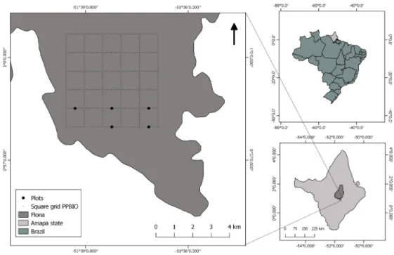 Figure 1. Location of Amapá state in Brazil, of the Amapá National Forest (ANF) (Flona in the figure legend) in Amapá, and of the 5x5-km trail grid and the five sampling  plots within ANF