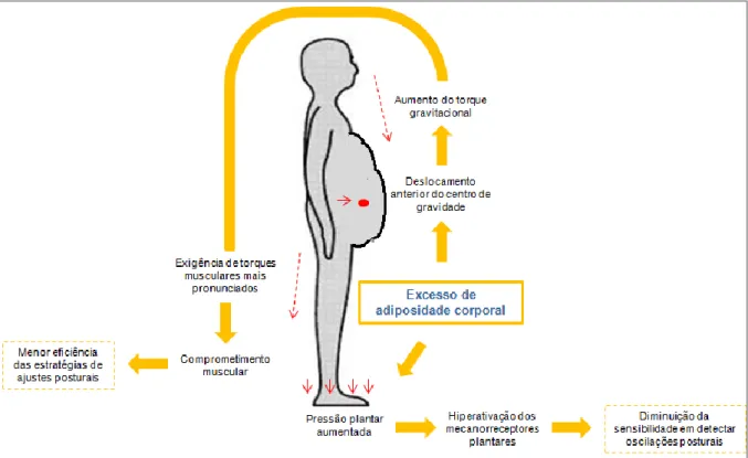 Figura  6.  Representação  hipotética  da  influência  do  excesso  de  adiposidade  corporal sobre o mecanismo de controle postural
