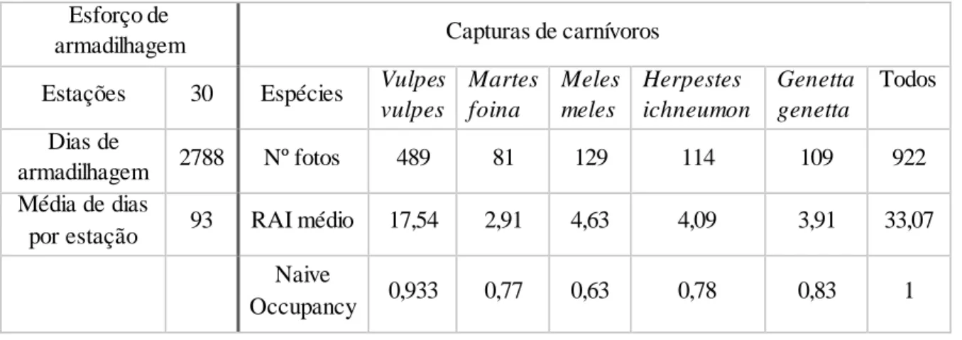 Tabela 5.1- Esforço de armadilhagem,  número de deteções, RAI (índice de abundância relativa) e “Naive occupancy” das  espécies de mesocarnívoros detetadas na Serra  de Grândola