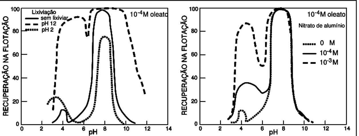 Figura  3.49.  Flotação  de  espodumênio  após  lixiviação  em  pH  12  e  na  presença  de  nitrato de alumínio (13) 