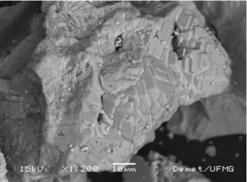 FIGURA 3.11: Partícula de amostra proveniente do Amapá com fase rica em fósforo  (fosfato de alumínio e bário) (VIANA e ARAUJO, 2007)