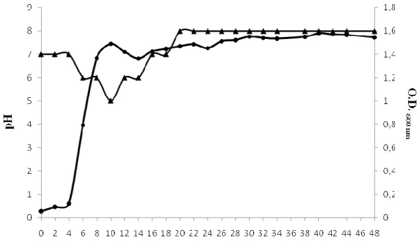 Figura 9. Cinética de crescimento da bactéria B. thuringiensis S1905 e pH do meio ao  longo do crescimento: (●) O.D