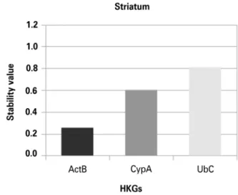 Figure 3. Housekeeping gene stability in the olfactory bulb