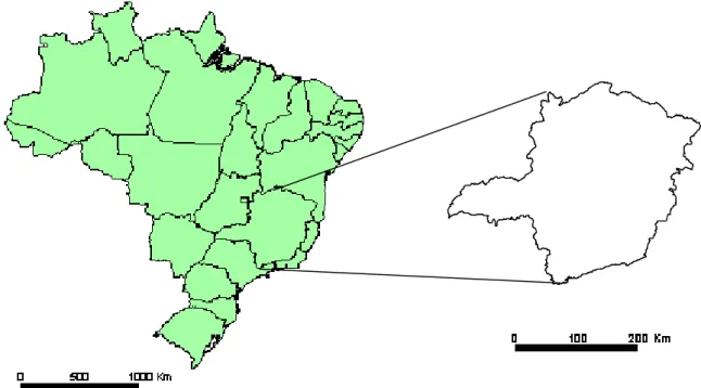Figura 1: Brasil, Divisão Político-Administrativa e o Estado de Minas Gerais (Fonte: GEOMINAS, 2006)