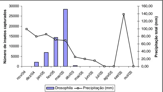 Figura 10. Capturas mensais de Drosophila repleta e a precipitação total mensal na granja de  galinhas  de  postura  da  Fazenda  Hélio  Barbosa  em  Igarapé,  MG,  no  período  de  novembro  de  2004 a outubro de 2005