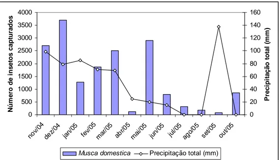 Figura  12.  Capturas  mensais  de  Musca  domestica  e  a  precipitação  total  mensal  na  granja  de  galinhas  de  postura  da  Fazenda  Hélio  Barbosa  em  Igarapé,  MG,  no  período  de  novembro  de  2004 a outubro de 2005 