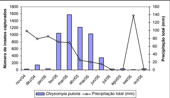 Figura 14. Capturas mensais de Chrysomya putoria e a precipitação total mensal na granja de  galinhas  de  postura  da  Fazenda  Hélio  Barbosa  em  Igarapé,  MG,  no  período  de  novembro  de  2004 a outubro de 2005