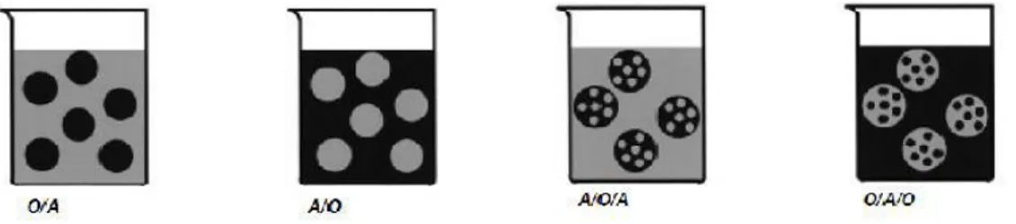 Figura 2.1 Tipos de emulsões presentes num sistema composto por água e óleo (Fonte: Melo,  2007) 