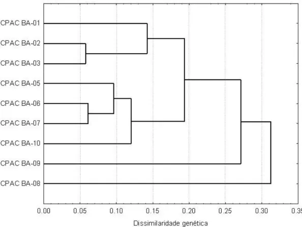 Figura 1.1 - Análises de agrupamento de nove acessos de baru, com base na matriz de  dissimilaridades genéticas calculadas utilizando-se 96 marcadores RAPD