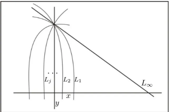 Figura 2.2: Retas verticais invariantes por Ă.