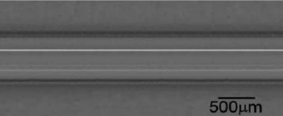 Figura 4.5- Fibra obtida por LHPG para o niobato de cálcio. A escala mostrada na foto consiste  em 500 micrometros