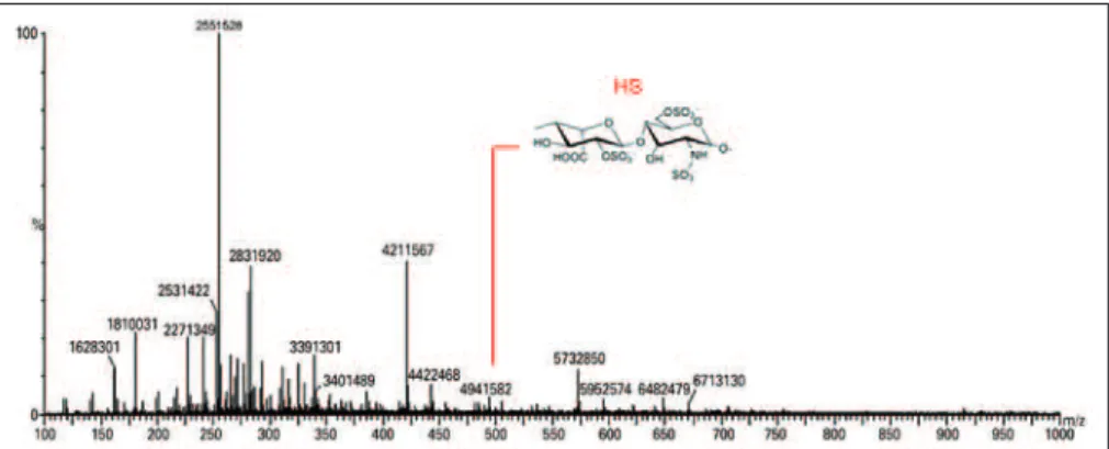 Figure 3. Mass spectroscopy to identify dermatan sulphate oligosaccharides. Dermatan sulphate oligosaccharides and disaccharides were obtained after chondroitinase  B digestion