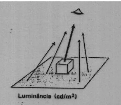 Fig. 14  – Representação da superfície aparente e ângulo considerado  para cálculo da luminância