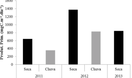 Figura 3. Produtividade primária fitoplanctônica diária na lagoa Carioca (Parque Estadual do Rio Doce,  MG, Brasil) nas estações secas e chuvosas de 2011, 2012 e 2013 (PELD/UFMG, dados não publicados)