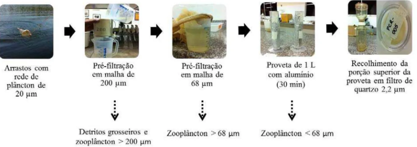 Figura 5. Esquema dos procedimentos de coleta e obtenção das amostras de seston na lagoa Carioca (Parque  Estadual do Rio Doce, MG, Brasil)
