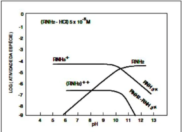 Figura 3.3 - Características de solução de dodecilamina, 5 x 10 -5  M.  Fonte: CHAVES et al., (2006)