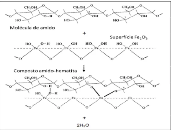 Figura  3.11  -  Mecanismos  de  complexação  entre  a  superfície  hematita  com  as  moléculas de amido de trigo