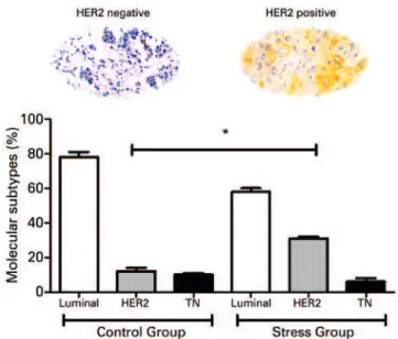 Figure 2. Molecular subtyping of tumors. The images represent the IHC labeling  for HER2