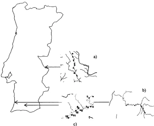 Figura  1  -  Localiryáo  geogrrífica  dos  Eoços,  ern que  a)  Ribeira  de Arronches,  b) Ribeira  de Seixe,  e  c) Ribeira  de  Odelouca