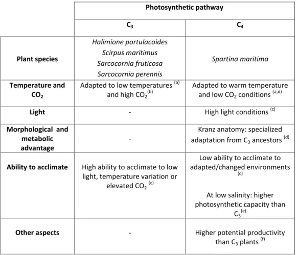 Table 1. Plant species and their physico-chemical adaptations to C 3  and C 4  photosynthetic pathway