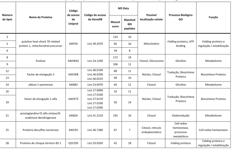 Tabela 2 – Identificação por espectrometria de massa das proteínas nos spots dos géis 2D