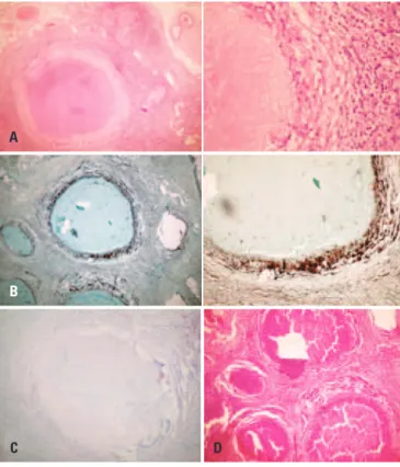 Figure 4. Anatopathological slides with specific staining
