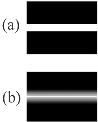 Figura 3.2: (a) M´ascaras que cobrem as lentes, usadas para intensificar os efeitos de difra¸c˜ao em uma dimens˜ao