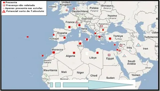 Figura 1. Mapa de distribuição geográfica de Tuta absoluta na Europa, Médio Oriente e Norte de  África (a presença num país/região é indicada no mapa) (Anónimo, 2009b)