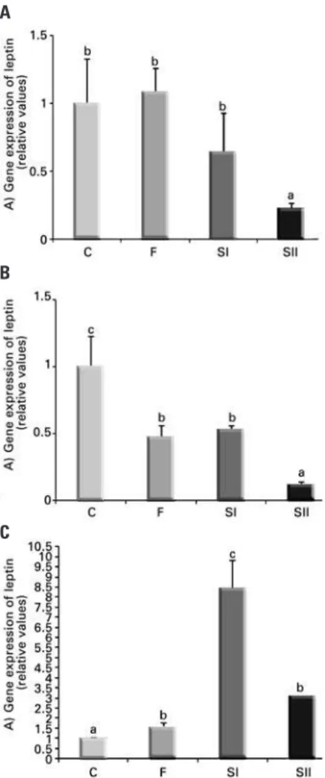Table 1. Adiponectin versus leptin at different timepoints within each group in the  absence (control) or presence (10nM, 100nM and 1,000nM) of triiodothyronine 