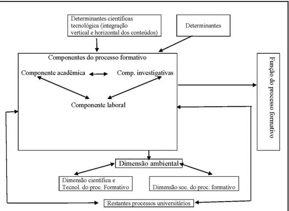 FIGURA  16  -  Componentes  do  processo  formativo  e  sua  relação  com  as  determinações  científico- científico-tecnológicas e sociais 