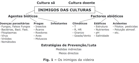 Fig. 1 – Os inimigos da videira