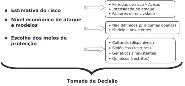 Fig. 1 – Componentes da protecção integrada (Amaro, 2001)